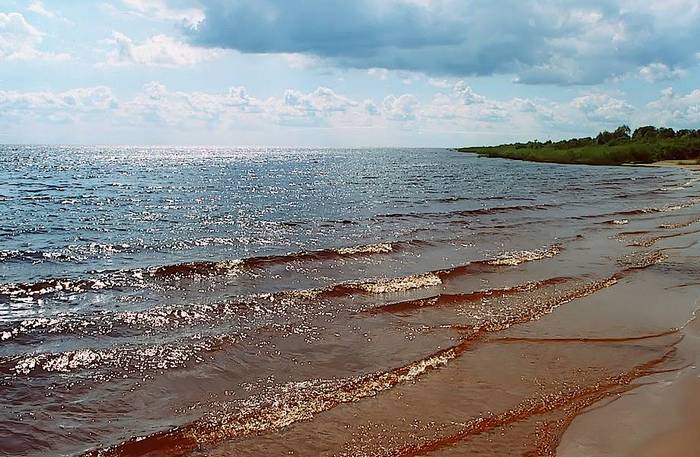 Озеро в Новгородской области